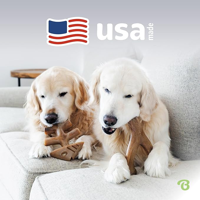 Benebone 2-pack Fishbone/Wishbone Durable Dog Chew Toys, Real Fish, Real Bacon, Made in USA, Small