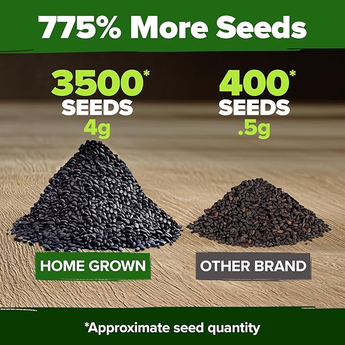 HOME GROWN Genovese Basil Seeds 2 Pack - 3500 𝗡𝗢𝗡-𝗚𝗠𝗢 𝗨𝗦𝗔 Heirloom Basil Seeds for Planting (Ocimum basilicum) - Herb Seeds for Indoor & Outdoor Gardening - Grow for Culinary Use