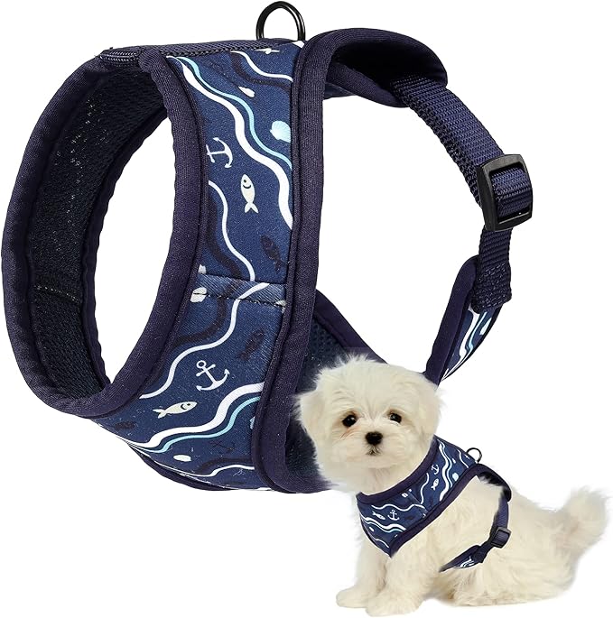 Mile High Life Step in Dog Harness for Small Dogs No Pull, Easy Get on Air Mesh Vest Harness, Adjustable Easy Closures Both Neck and Chest (Blue, L Chest 21.6"-43.2")