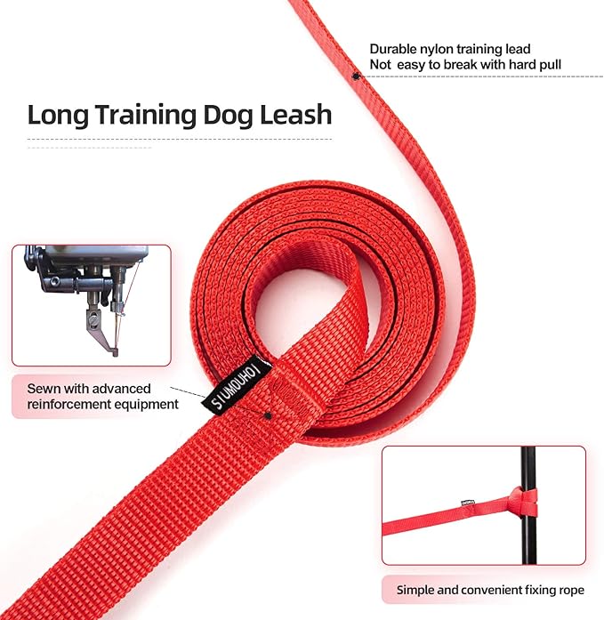Dog/Puppy Obedience Recall Training Agility Lead - 15ft 20ft 30ft 40ft 50ft Training Leash - Great for Play, Camping, or Backyard - Red 20ft (20Feet, Red)