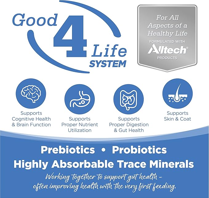 NutriSource Cat & Kitten Food, Made with Chicken Meal, Salmon and Liver, with Wholesome Grains, 16LB, Dry Cat Food