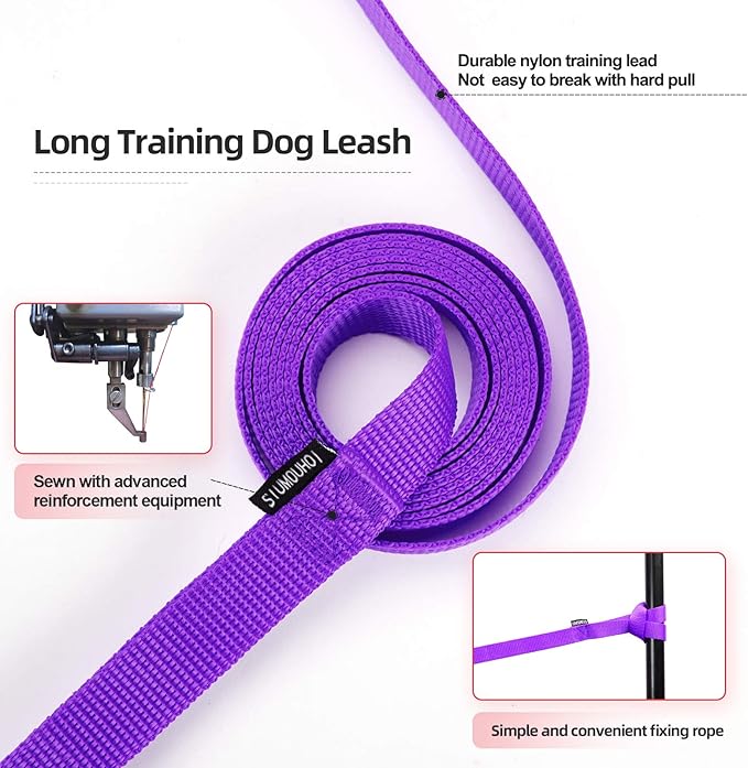 Dog/Puppy Recall & Behavior Training Rope Leash - 40 ft (Purple)