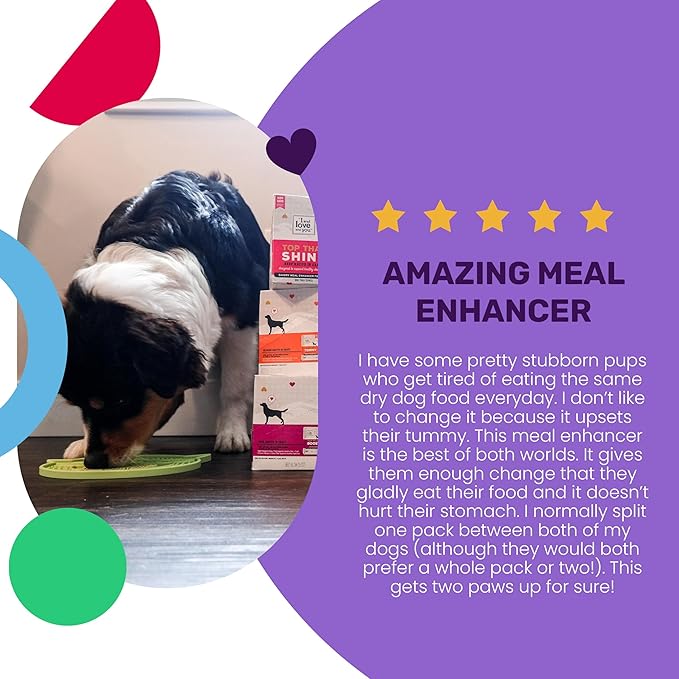 "I and love and you" Top That Tummy Wet Dog Food Pouch, Chicken Recipe In Gravy, 3 oz (Pack of 12)