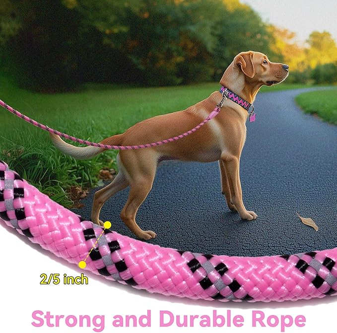 Nylon Dog Leash 6FT 10FT 20FT 30FT Diameter 2/5 Inch with Comfortable Silicone Handle Highly Reflective No Tangle for Medium Large Dogs Outside Walking Camping Backyard. (Pink, 10FT)