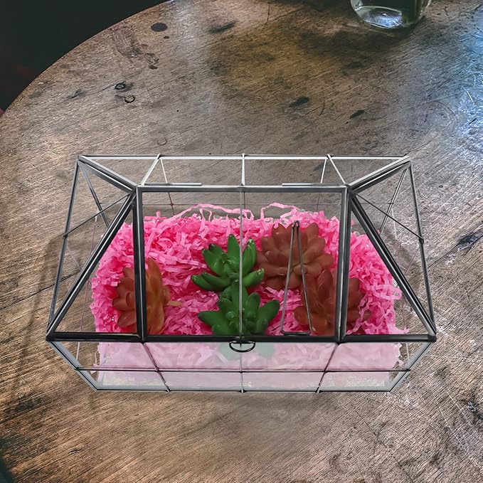HighFree Geometric Terrarium Planter with Swing Lid, House Shape Black Handmade Glass Box, Vintage Tabletop Miniature Terrarium, for Succulent, Cacti, Air Plants (Not Watertight - 9.2x5.5x7.3 inch)