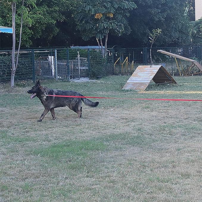 Dog/Puppy Obedience Recall Training Agility Lead - 15ft 20ft 30ft 40ft 50ft Training Leash - Great for Play, Camping, or Backyard (Pink, 20 Feet)