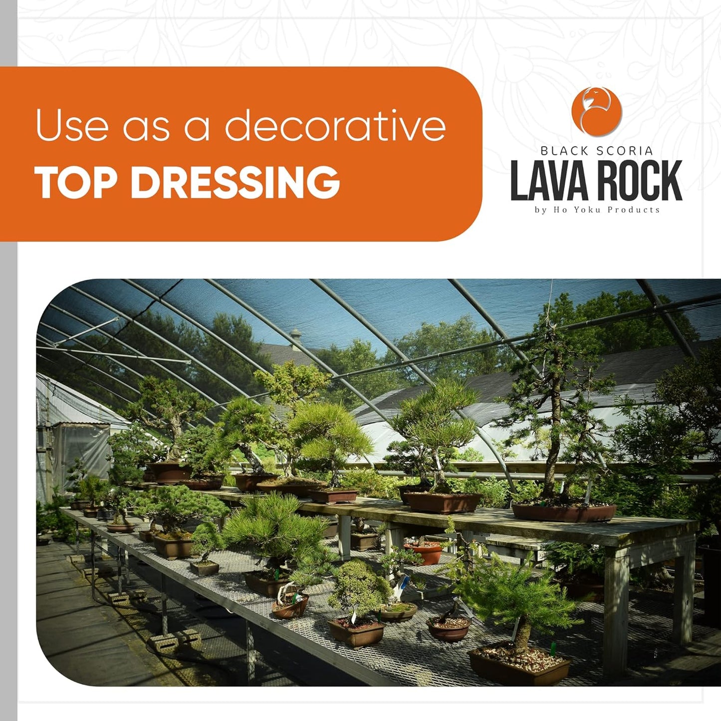 Ho Yoku Black Lava Rock - Premium Soil Additive for Bonsai Plants, Succulents, Cacti, Houseplants - Decorative and Water Retaining Uses - Can Mix with Other Soil Aggregates - 2.25 Quarts