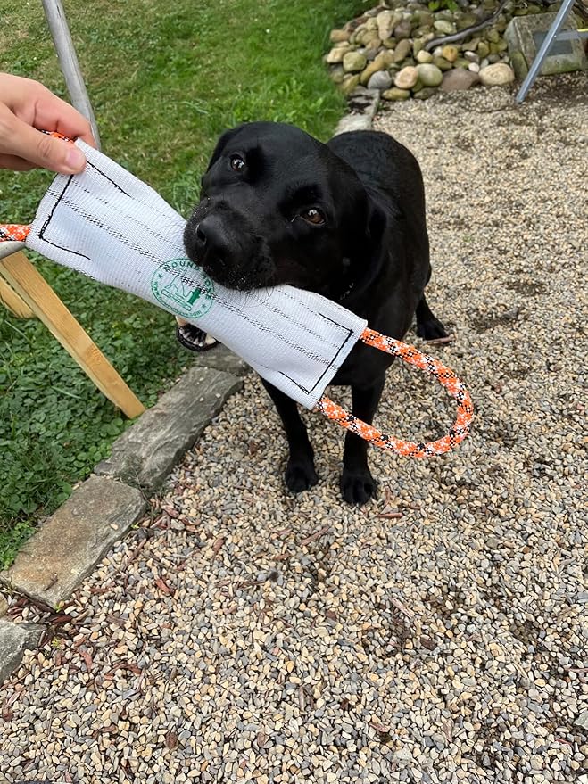 Rock-N-Rescue Hound Hose Firehose Dog Toy - Interactive Training Tug Rope from Durable Recycled Fire Hose. Indoor Outdoor Fetch Toy, Large with Rescue Rope Handles
