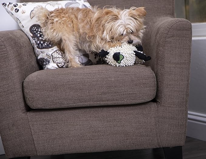 goDog Fuzzy Wuzzy Lamb Squeaky Plush Dog Toy, Chew Guard Technology - Assorted, Small