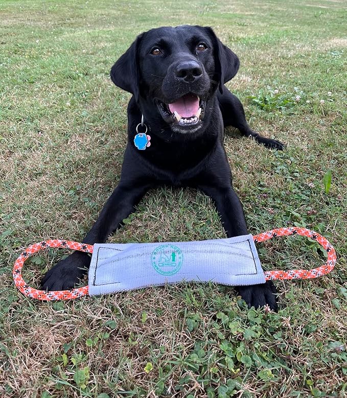 Rock-N-Rescue Hound Hose Firehose Dog Toy - Interactive Training Tug Rope from Durable Recycled Fire Hose. Indoor Outdoor Fetch Toy, Medium with Rescue Rope Handles