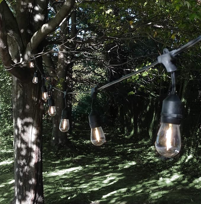 Hometown Evolution, Inc. 50 Foot E26 LED Outdoor Commercial String Lights with 25 Suspended Sockets and S14 LED Filament 1 Watt Bulbs