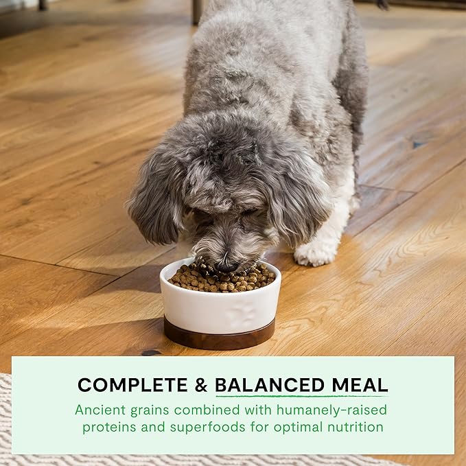 Open Farm, Ancient Grains Dry Dog Food for Small Breeds, Protein-Rich & Nutrient Dense, 90% Animal Protein with Non-GMO Fruits, Veggies and Superfoods, Chicken & Turkey Recipe for Small Dogs, 4lb Bag