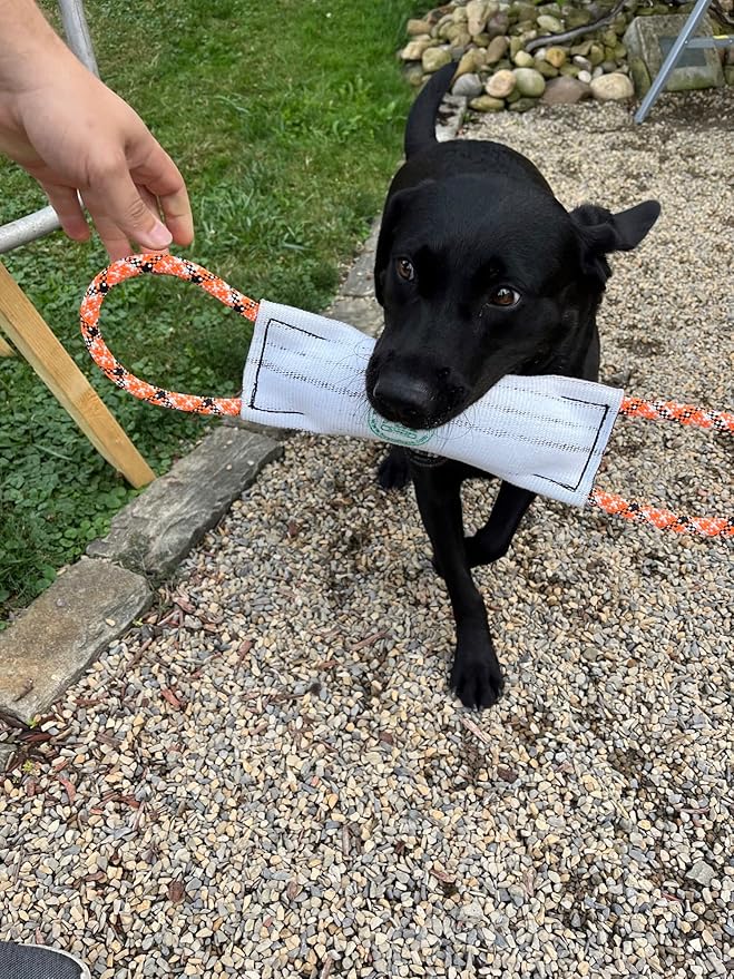 Rock-N-Rescue Hound Hose Firehose Dog Toy - Interactive Training Tug Rope from Durable Recycled Fire Hose. Indoor Outdoor Fetch Toy, Small with Rescue Rope Handles